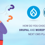 choose between Drupal and WordPress